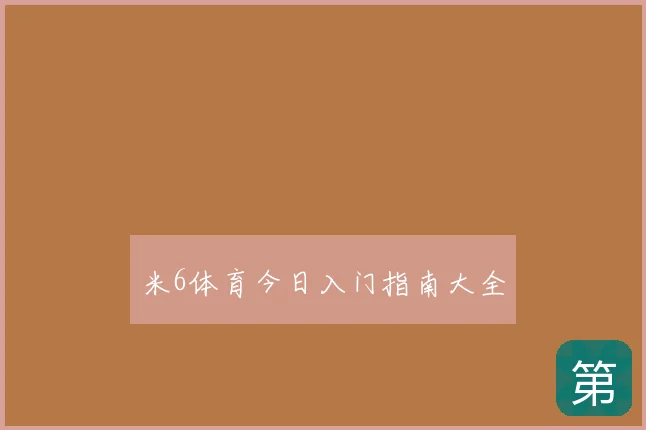 米6体育今日入门指南大全